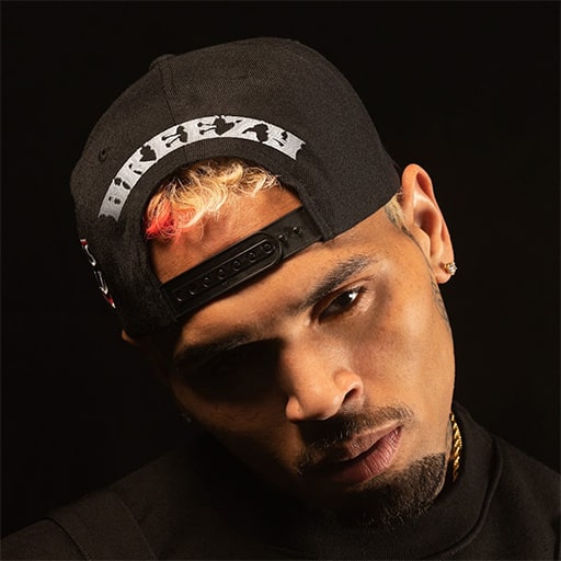 Chris Brown Concerts in Fort Lauderdale